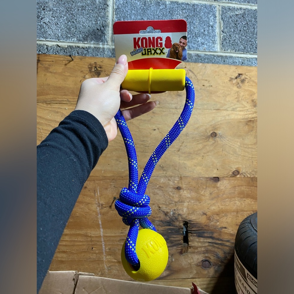Kong Jaxx Dog Toy - Picture 1 of 2